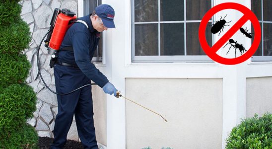 Kapaklı Böcek ve Haşere İlaçlama böcek ilaçlama ve haşere kontrolü — ilaclama-tr.com